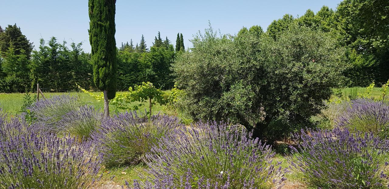 Lagnes La Pastorale B&B 외부 사진